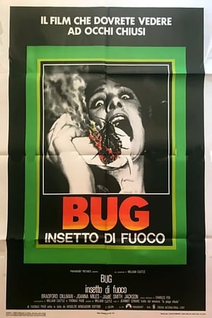 Bug - Insetto di fuoco