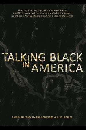 Image Talking Black in America