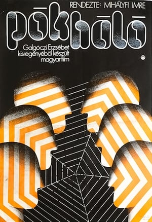 Poster Cobweb (1974)