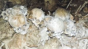 Secrets in the Jungle Mystery of Mexico's Skull Cave