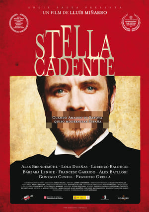 Poster Stella cadente 2014