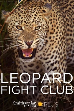 Poster Leopard Fight Club 2024