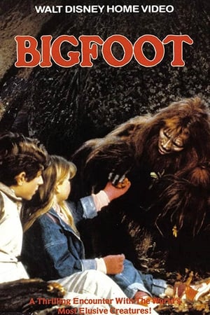 Poster Bigfoot (1987)