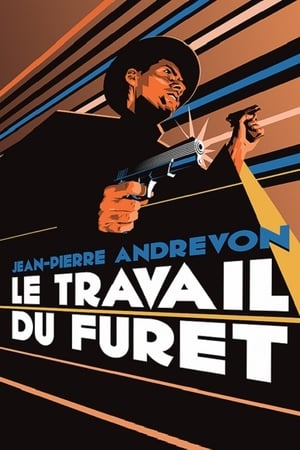 Poster Le Travail du furet 1993