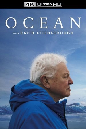 poster Ocean with David Attenborough