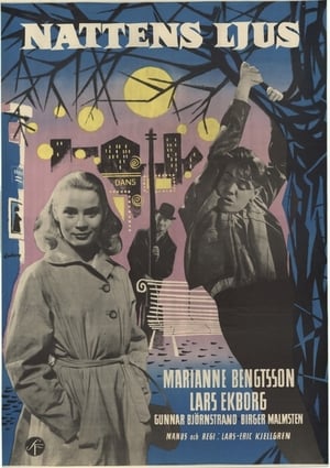 Poster Night Light 1957