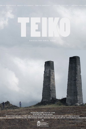 Teiko 3