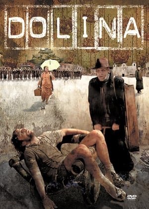 Poster Dolina (2007)