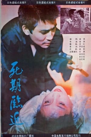 Poster Si qi lin jin (1989)