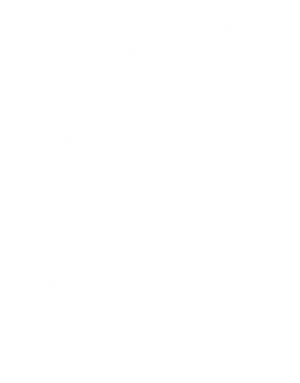 Ảnh 107
