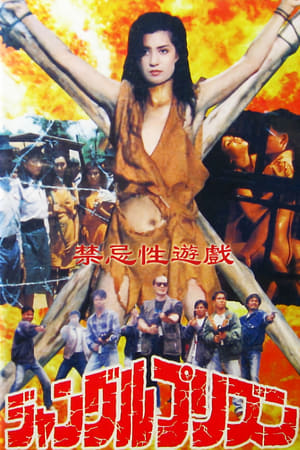 Poster Erotic Journey (1993)