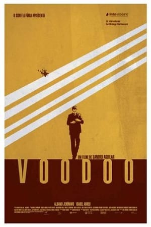 Poster Voodoo (2010)