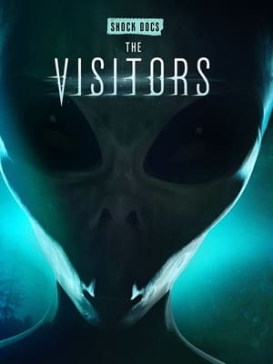 Poster The Visitors (2022)