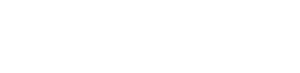 Alienoid: Return to the Future — Logos 8