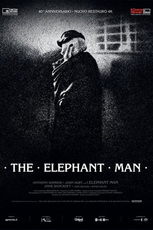 Poster The Elephant Man 1980