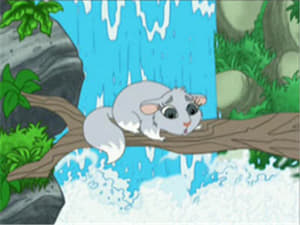 Go, Diego, Go! Chinta the Baby Chinchilla