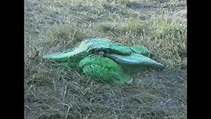 The Forty Milers Part 3