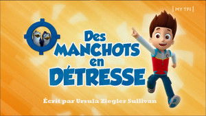 Paw Patrol Helfer auf vier Pfoten: 2×4