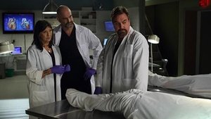 Hard Rock Medical: 1×2