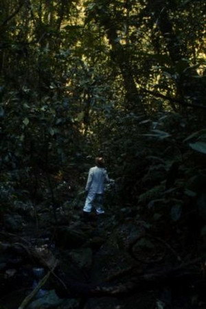 Ver As Muitas Mortes de Antônio Parreiras online en HD