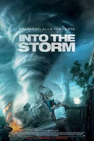 Image Into the Storm