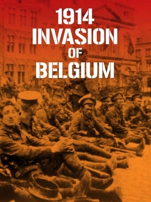 1914 Invasion of Belgium 2014