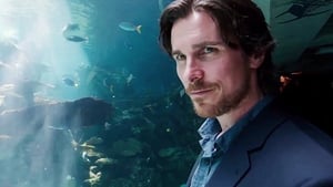 Knight of Cups