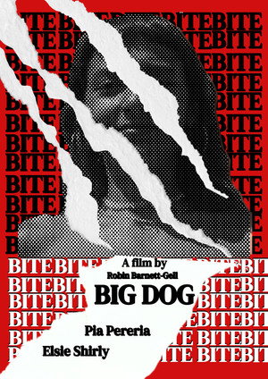 Big Dog