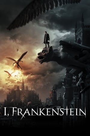 Poster Já, Frankenstein 2014