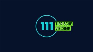 Episode 26