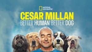 poster Cesar Millan: Better Human, Better Dog