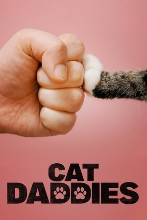 Cat Daddies Cat Daddies