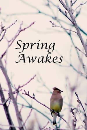 Spring Awakes