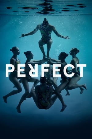 Poster Perfect (2016)