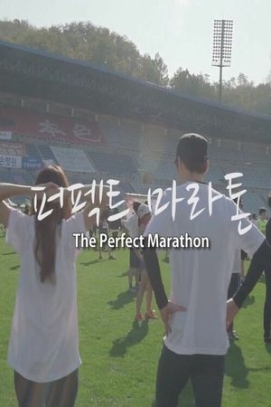 Image Perfect Marathon