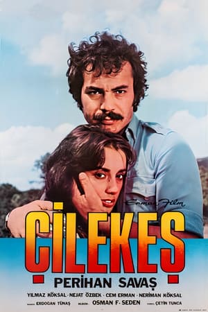 Çilekeş poster