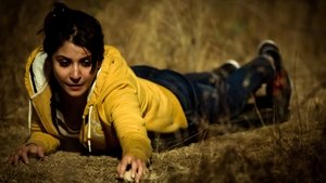 NH 10 – Blutiger Highway (2015)