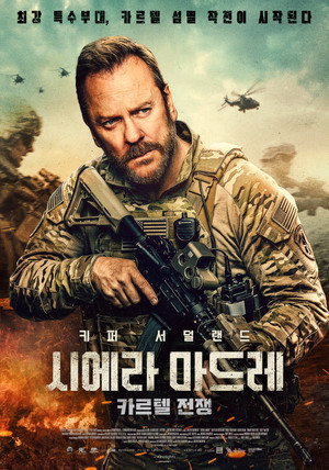poster Brothers Under Fire