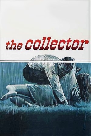 The Collector The Collector