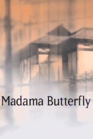 Poster Madama Butterfly - The Met (1994)