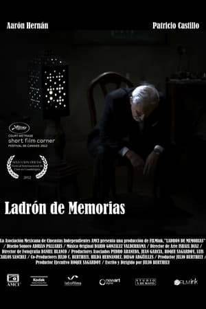 Poster Ladrón de memorias ()