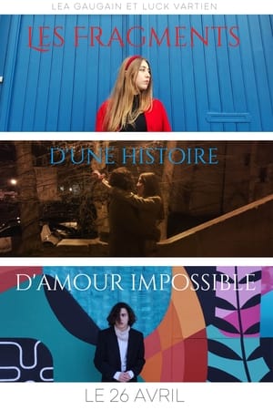 Les Fragments d'une histoire d'amour impossible film complet