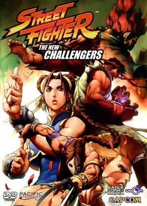 Street Fighter: The New Challengers (2011)