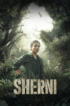 Poster Sherni 2021