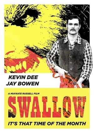 Poster Swallow 2013