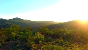 O Ano Selvagem da África: 1×3