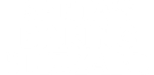 Santa's Baking Blizzard