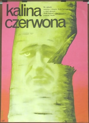 Poster Kalina czerwona 1974