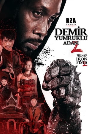 Poster Demir Yumruklu Adam 2 2015