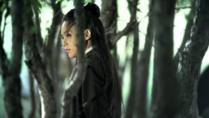 The Assassin (2015)